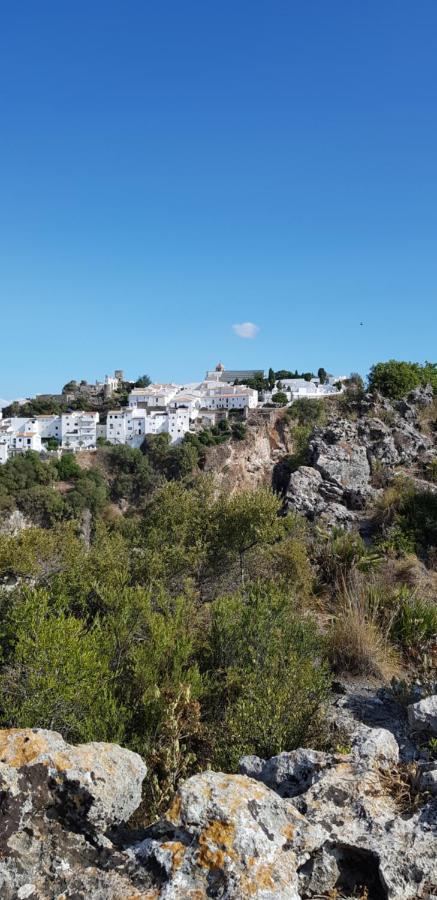 Puerto Estepona Buitenkant foto